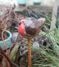 Pot Robin