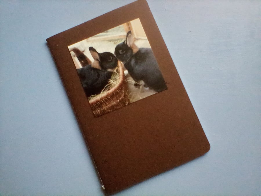Mini Notebook featuring Bunny Photo Rabbit Picture