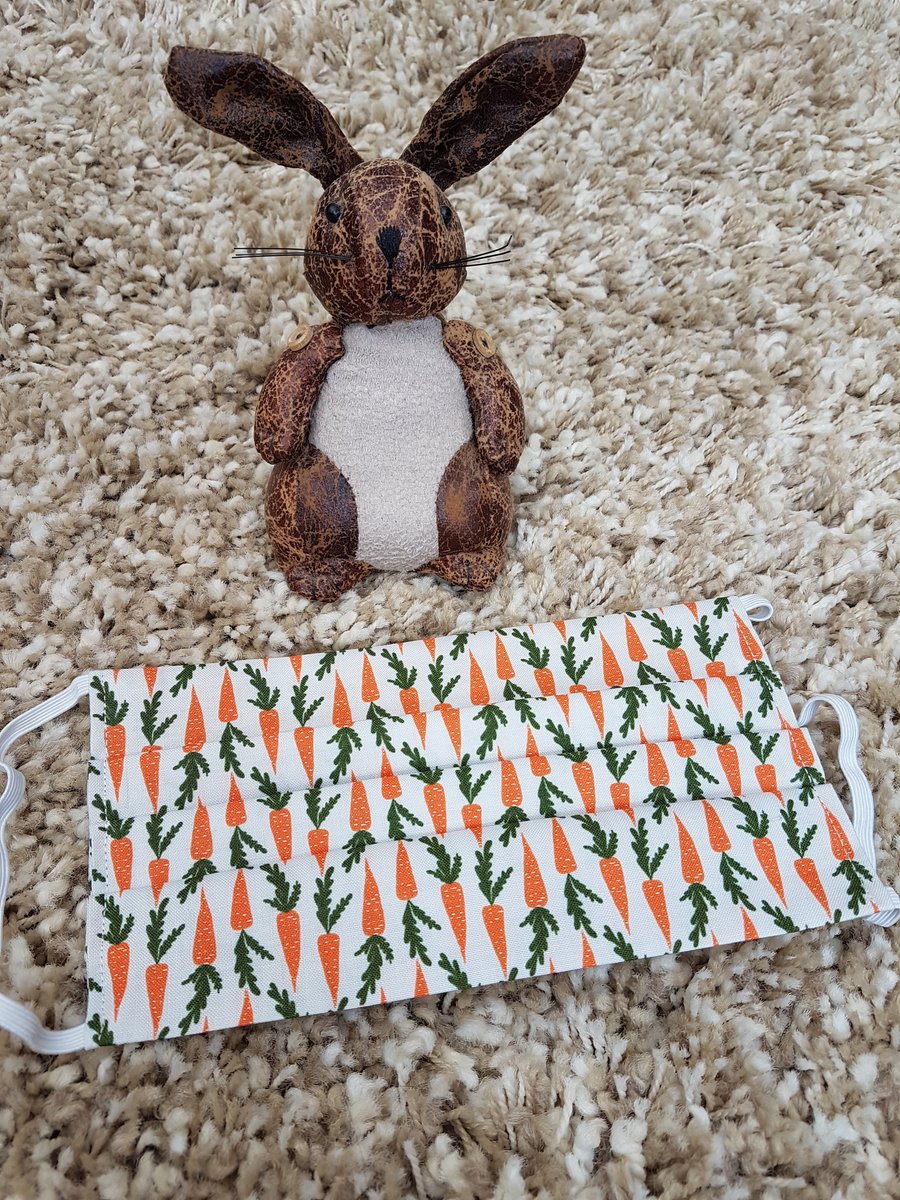 Small Adult or Teenager face covering – Carrot print 