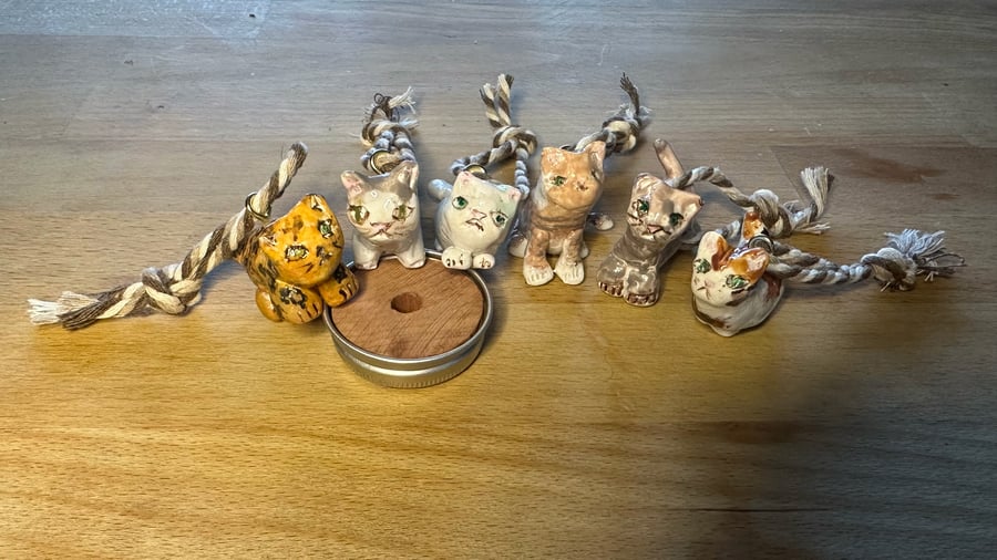 'Special' Cats & Dogs Hanging Ornament