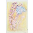 Holly Blue Butterfly on a pink flower, small original drawing, wall art