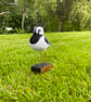 Lapwing (Peesie) - Image 5