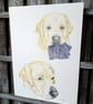 Pet Portrait, hand drawn pencil portrait, drawing of a dog, pet pictures - Image 3