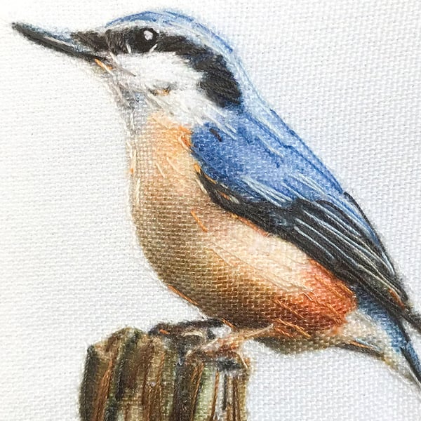 Nuthatch, little 3D fabric nuthatch picture framed, nuthatch gift