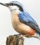 Nuthatch, little 3D fabric nuthatch picture framed, nuthatch gift - Image 3