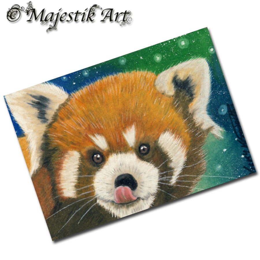Archival ACEO Red Panda Print 'Cheeky' By V Kenworthy