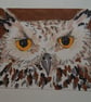 Original ACEO Owl - Image 2