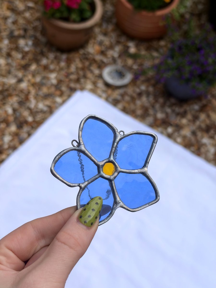 forget me not