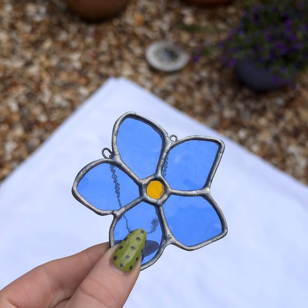 forget me not