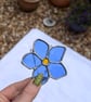 forget me not