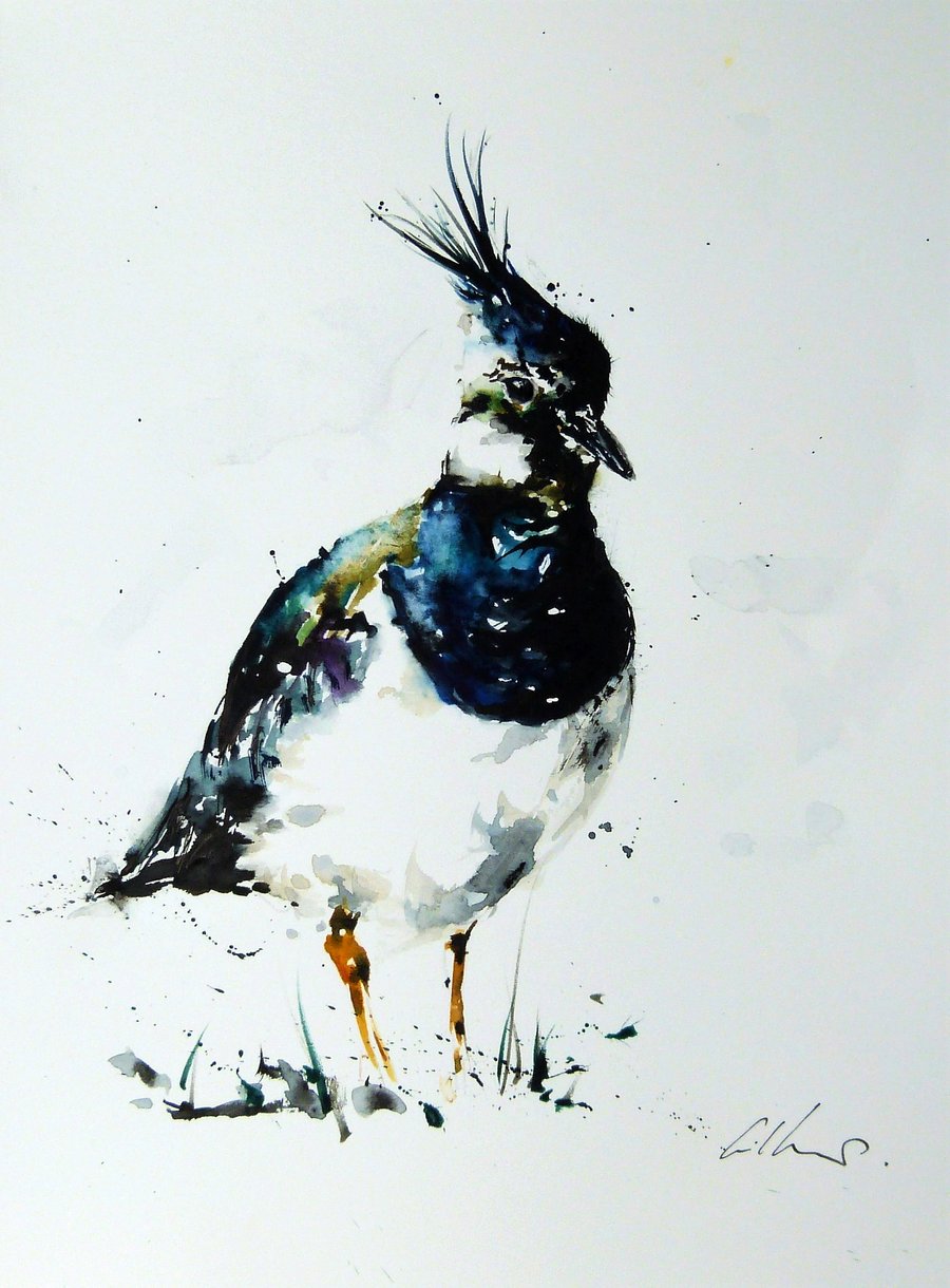 Lapwing, Professional Giclée Print.