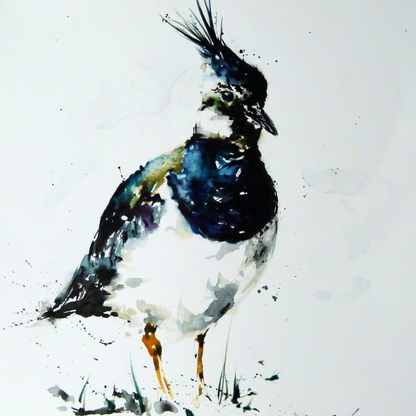 Lapwing, Professional Giclée Print.