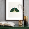 Emerald Green Botanical Floral Moth Illustrated Art Print