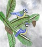 Digital watercolour bluetits