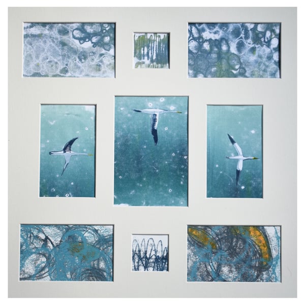 3 Gannets - collage