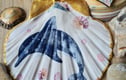 Shell dishes and decorations