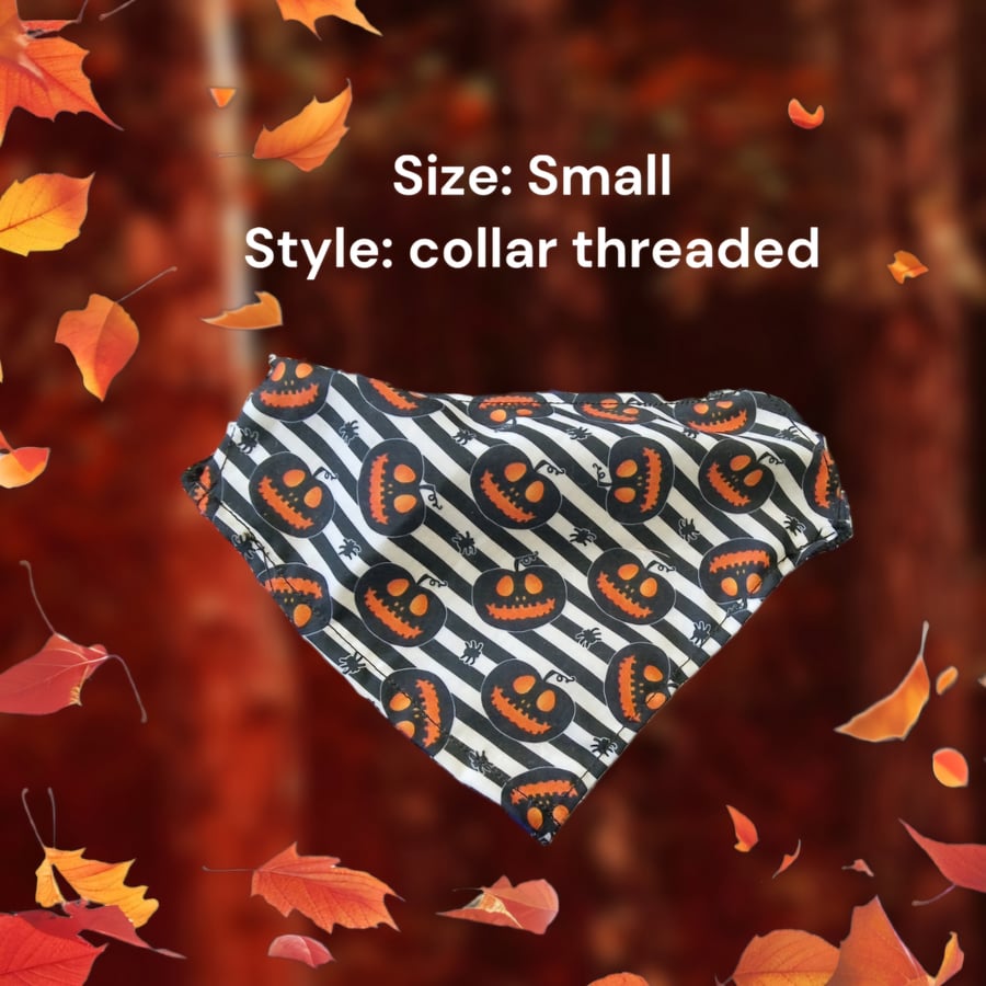 Halloween Dog Bandana
