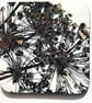 Allium Seedheads Coaster set  - Image 2
