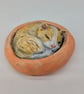 Yorkshire Pudding Cat - Ginger & White in Orange bed