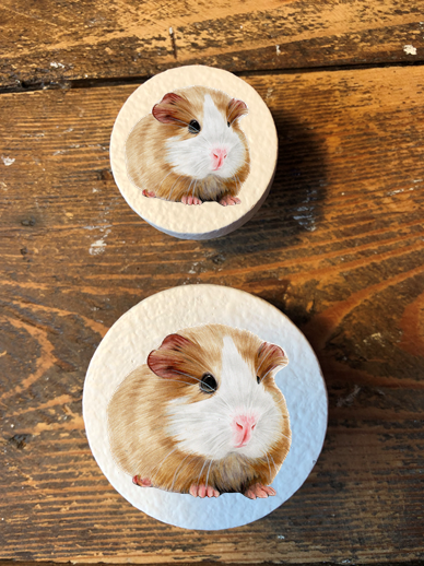 Handmade Guinea Pig pine door knobs wardrobe drawer handles decoupaged