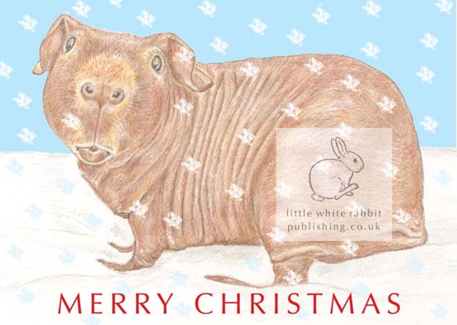 Dixon the Skinny Pig - Christmas Card