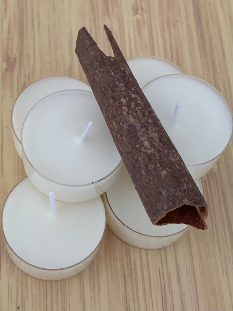 6 Soy Wax Essential Oil Tealight- Autumn Spice