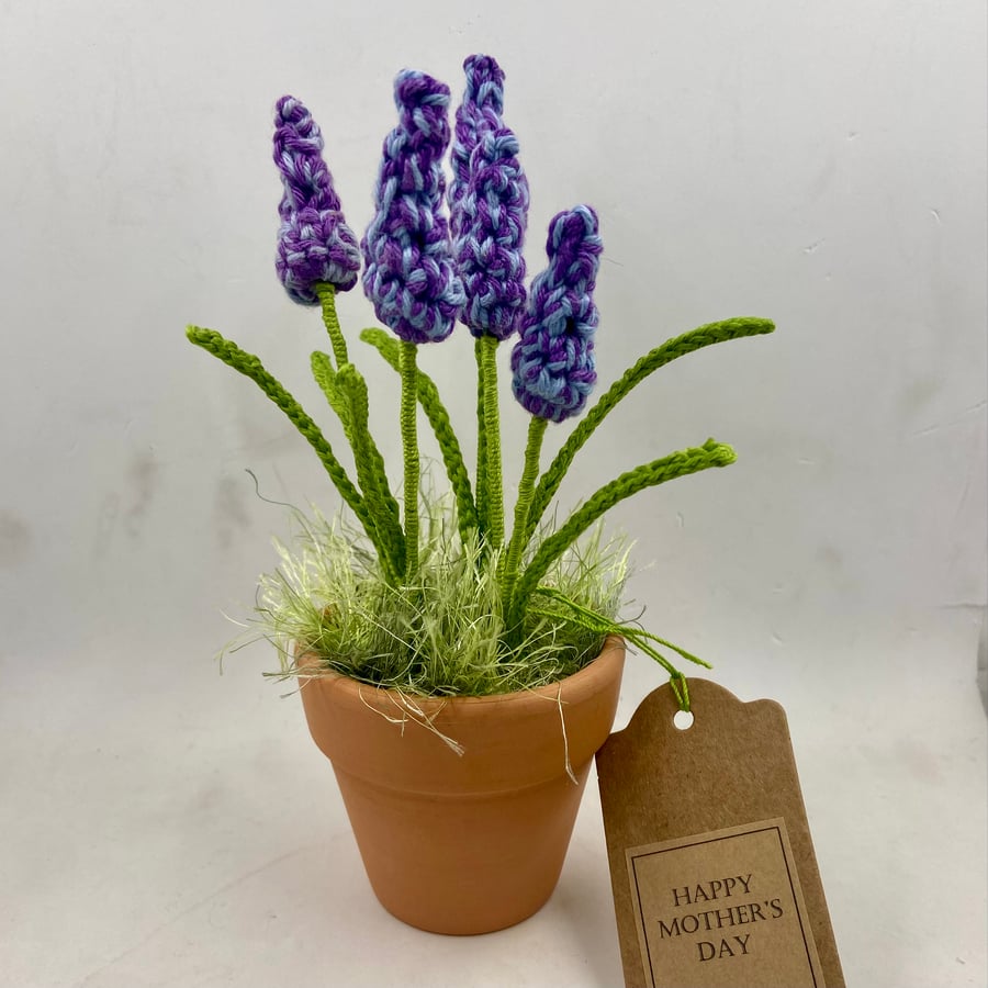 Crochet Grape Hyacinth in a Pot