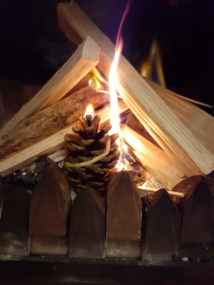 Fircone firelighters with gorgeous beeswax scent