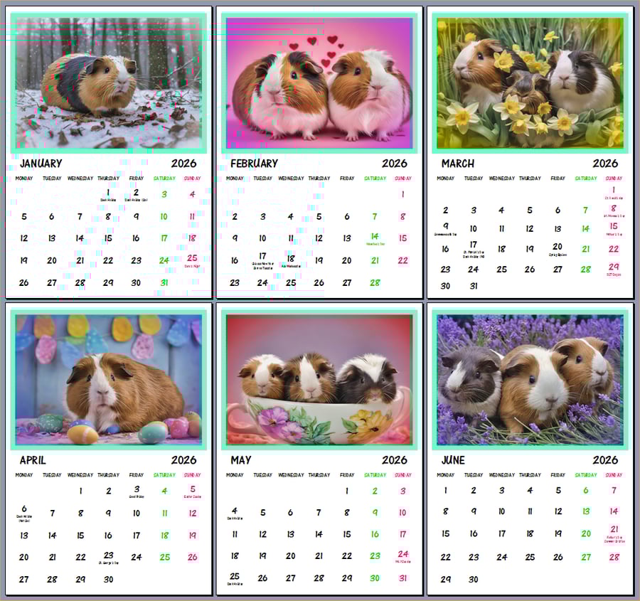 Guinea Pigs 2026 A4 Calendar Wall Hanging 