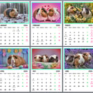 Guinea Pigs 2026 A4 Calendar Wall Hanging 