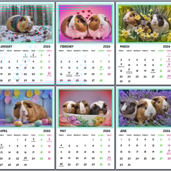 Guinea Pigs 2026 A4 Calendar Wall Hanging 