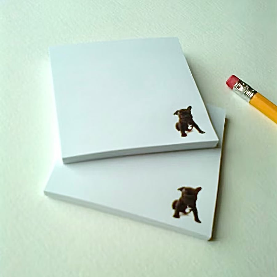 French bulldog puppy sticky notes (pad of 50 notes)