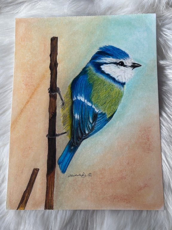 Original Blue Tit Drawing – Colour Pencil & Pastel Background