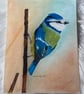 Original Blue Tit Drawing – Colour Pencil & Pastel Background
