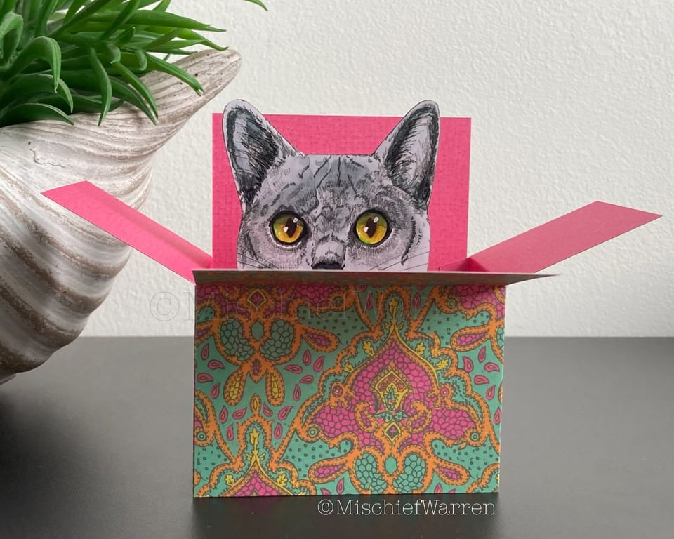 Grey Cat Card - Cat in a box card. Blank or Personalised 3D Gift card holder