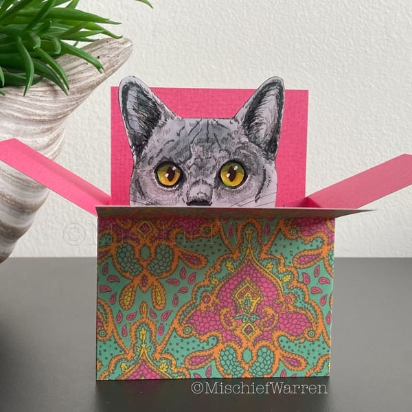 Grey Cat Card - Cat in a box card. Blank or Personalised 3D Gift card holder