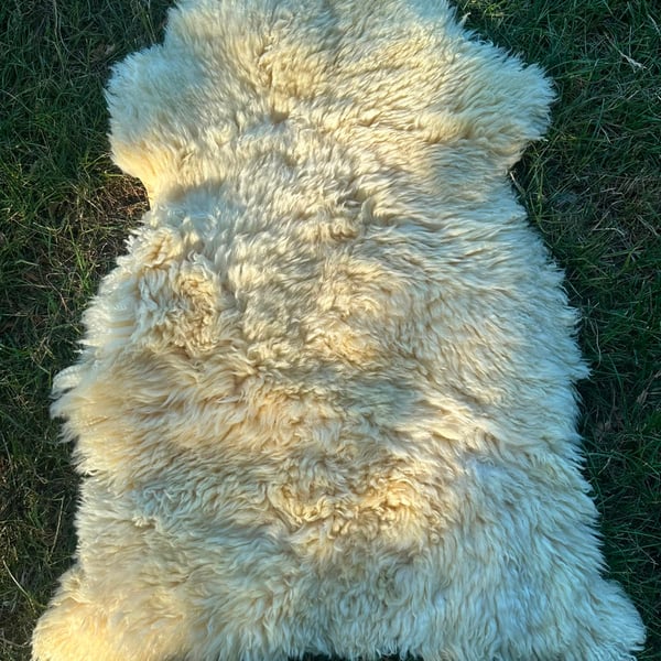 Perfectly Imperfect Genuine Sheepskin Rug Seat Pad Pet Beds Natural