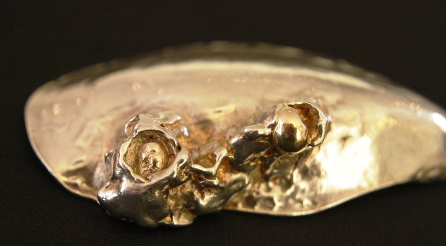 Conwy Mussel Shell Silver and Gold