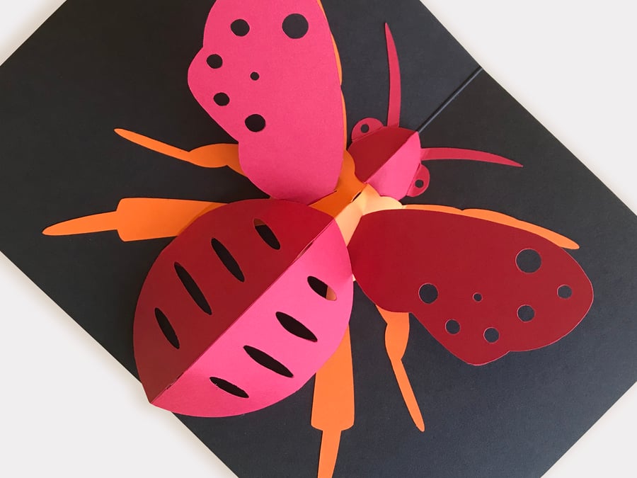 Pop-up Bee greetings card