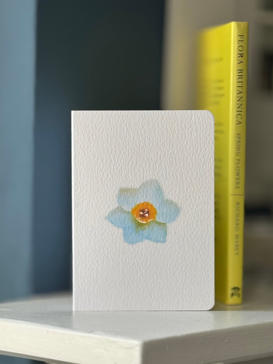 Daffodil flower birthday blank greetings Card (QM218)