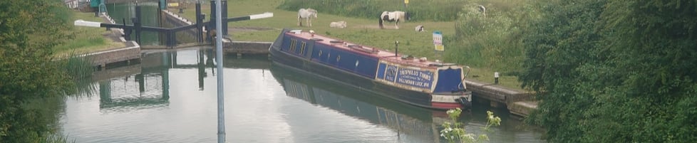 Alison's Canal Art