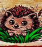 Home is where the Hedgehogs are - Image 3