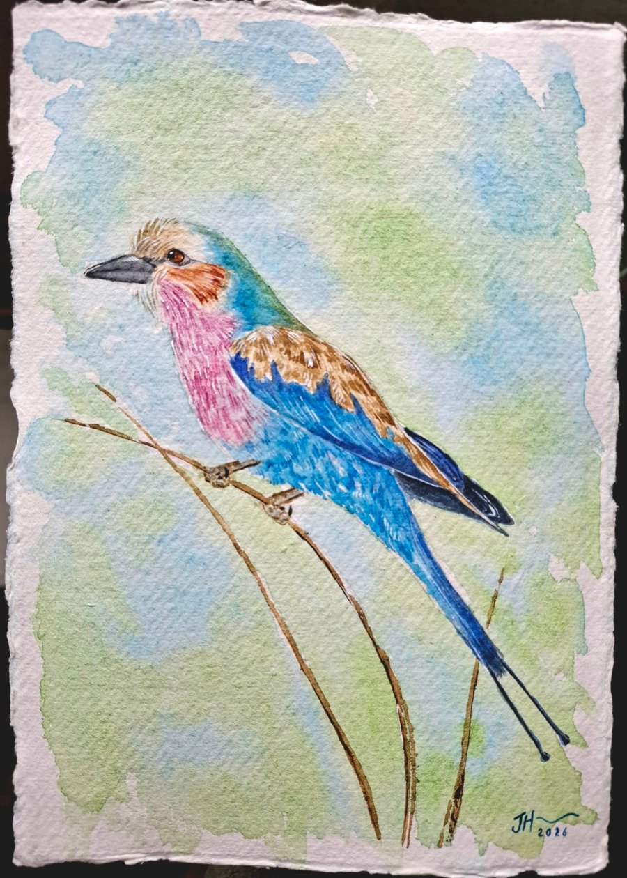 Lilac-Breasted Roller 1 Original Watercolour Painting