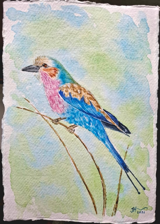 Lilac-Breasted Roller 1 Original Watercolour Painting