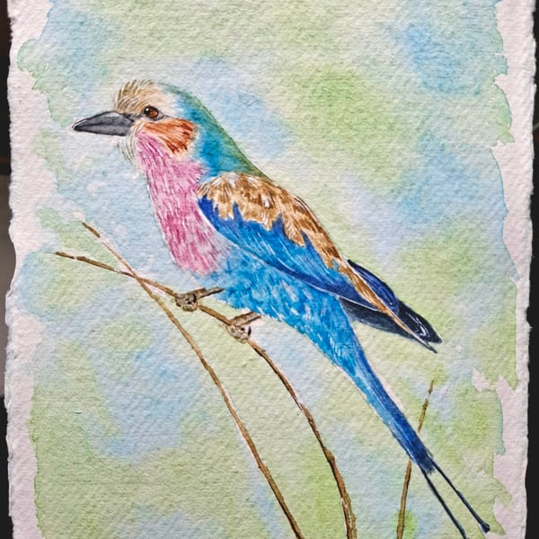 Lilac-Breasted Roller 1 Original Watercolour Painting