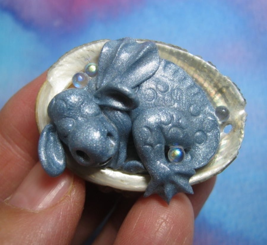 'Farley' Sleepy Baby Dragon Urchin in a shell OOAK SCULPT Ann Galvin