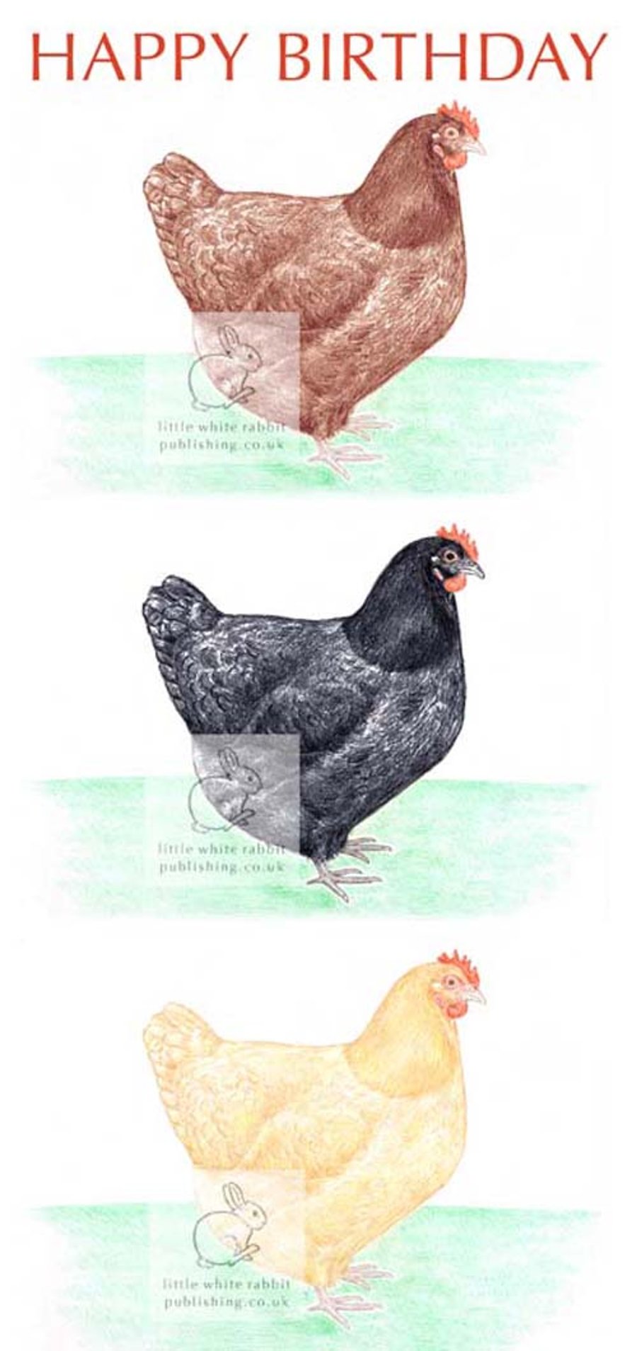 Three Hens - Birthday Card