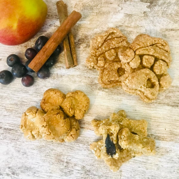 Mixed treat sample pack 