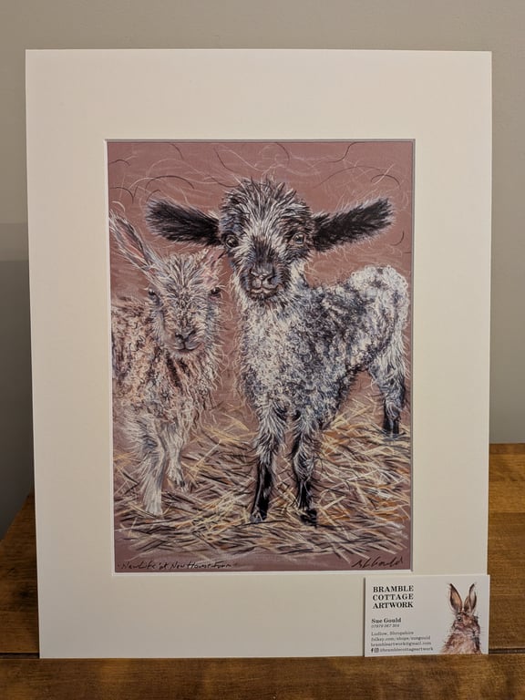 New Life at New House Farm, an A4 or A3 print of an original drawing