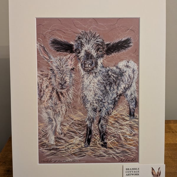 New Life at New House Farm, an A4 or A3 print of an original drawing